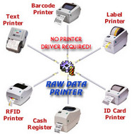 Raw Data Printer Component screenshot